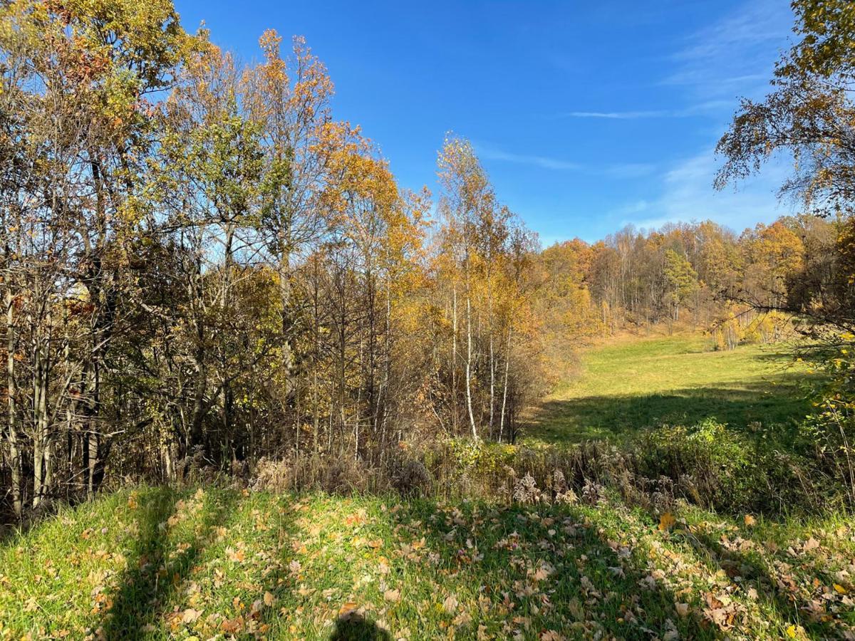 Domki Marczyce Sosnówka Exterior foto